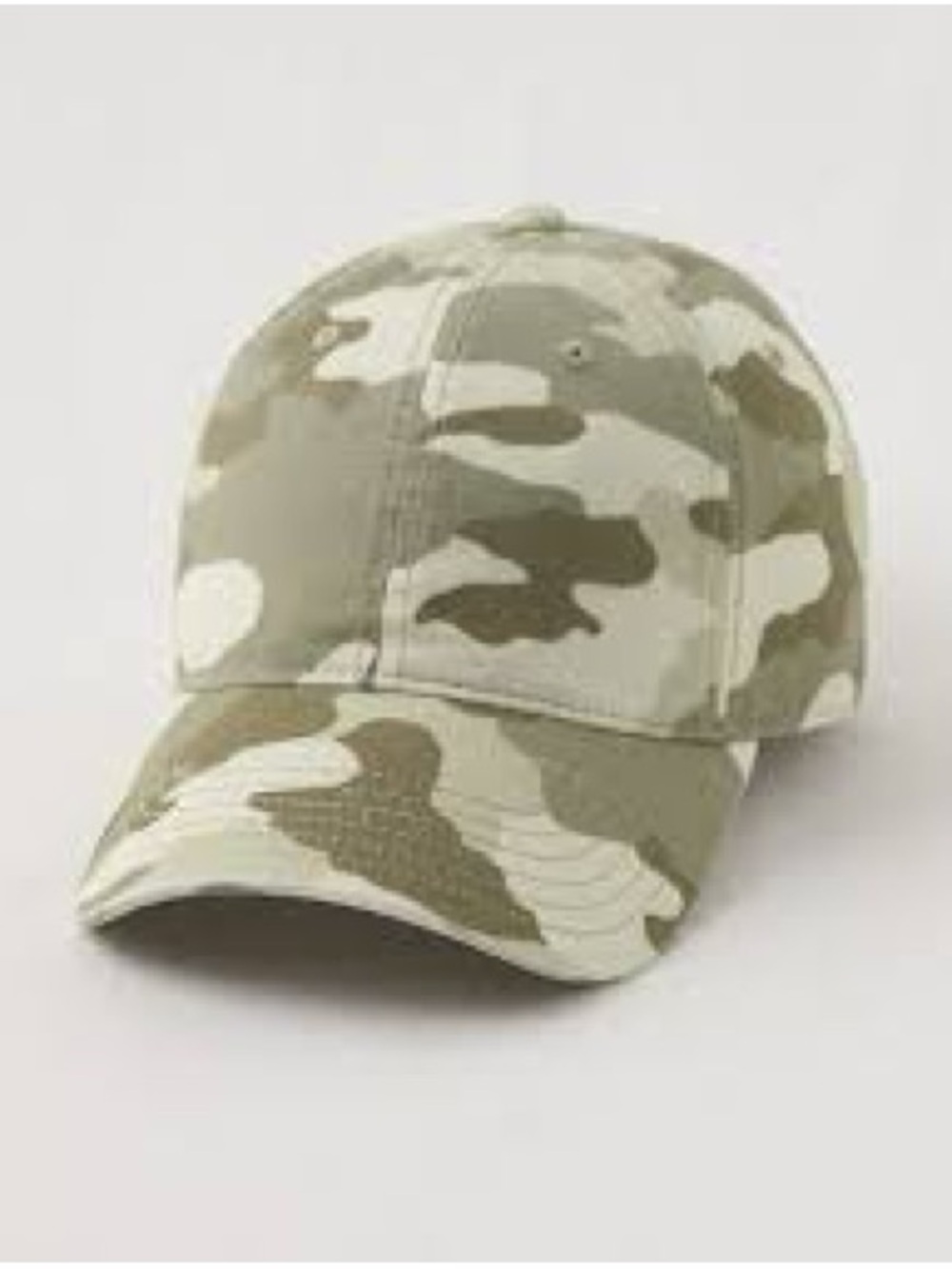 NWT $19.95 Aerie Baseball Hat